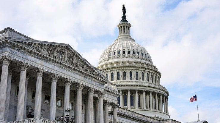 the United States Capital in Washington, D.C.